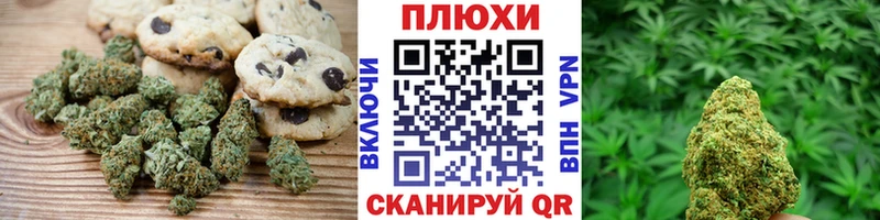 OMG вход Белоозёрский Печенье с ТГК конопля