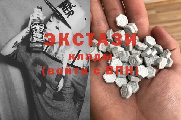 гашик Алексин