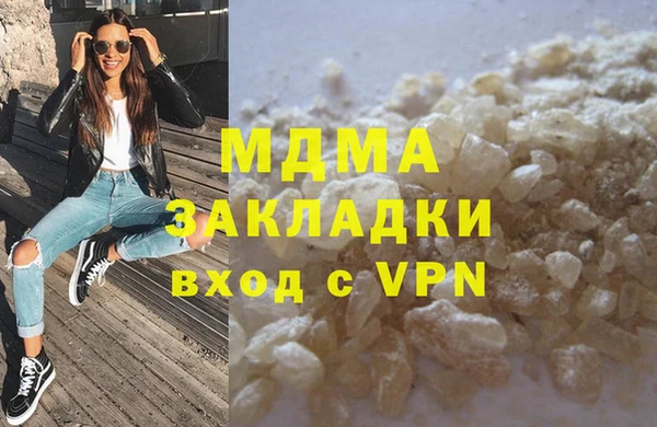 гашик Алексин