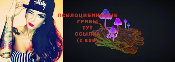 mix Абаза